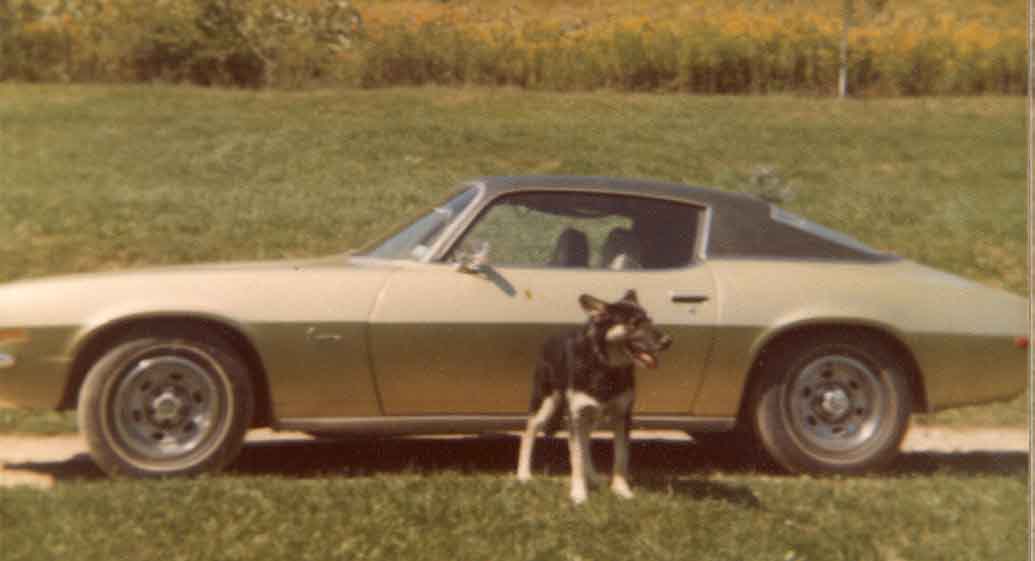 camaro with Saga
